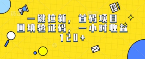 一键拉新，首码项目，回填验证码，一小时收益1张-小白网创