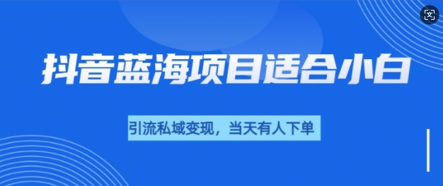 抖音蓝海小赛道私域变现项目，单价9.9单天变现100+，实操玩法分享给你-小白网创