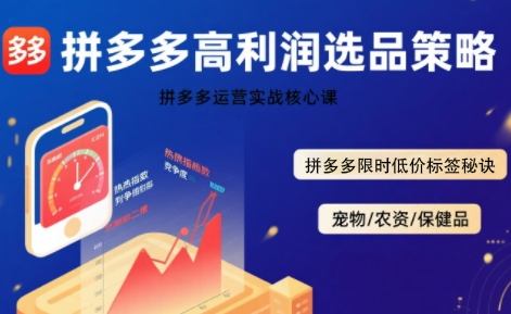 拼多多选品暴利技术实战课，拼多多高利润选品策略，拼多多限时低价标签秘诀-小白网创