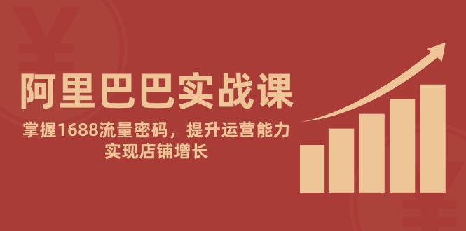 （14830期）阿里巴巴实战课：掌握1688流量密码，提升运营能力，实现店铺增长-小白网创