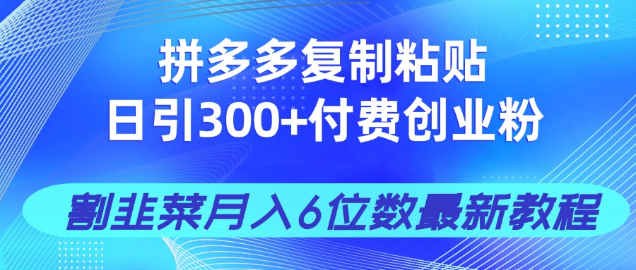 （14232期）拼多多复制粘贴日引300+付费创业粉，割韭菜月入6位数最新教程！-小白网创