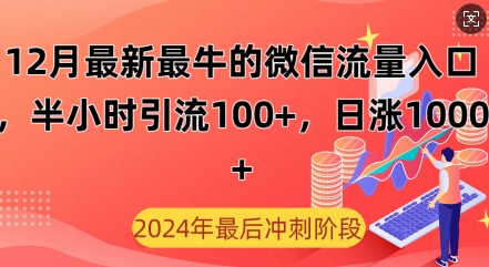 12月最新最牛的微信流量入口，半小时引流100+创业粉，日涨粉1000+-小白网创