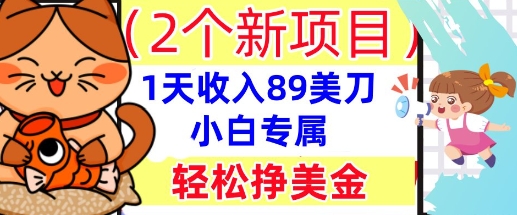 2个新项目，轻松挣美金， 1天收入89美刀，小白专属，干货分享-小白网创