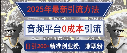 2025年最新引流方法，音频平台0成本引流，日引200+精准创业粉-小白网创