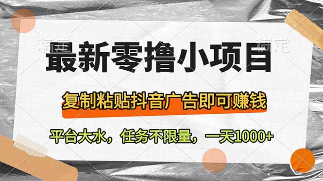 （14230期）最新零撸小项目，复制粘贴抖音广告即可赚钱，平台大水，任务不限量，一…-小白网创
