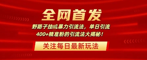 全网首发，野路子暴力引流法，单日引流400+精准粉的引流法大揭秘-小白网创