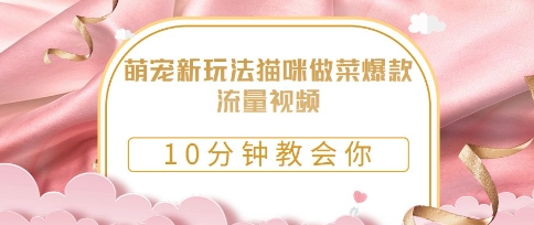 萌宠新玩法猫咪做菜爆款流量视频，10分钟教会你-小白网创