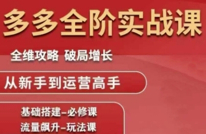 拼多多全阶实战课程，全维攻略，破局增长，从新手到运营高手-小白网创