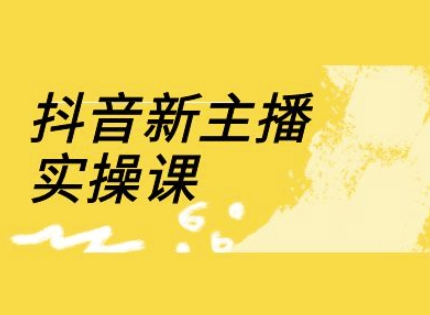 抖音新主播实操课，直播间流量运营线上实操课(18节)-小白网创