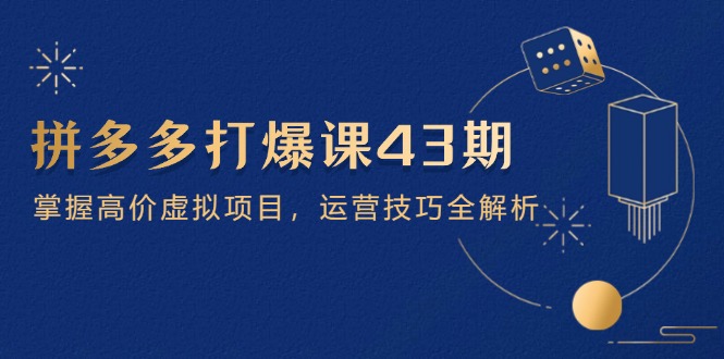 （14546期）拼多多打爆课第 43 期，掌握高价虚拟项目，运营技巧全解析（15节）-小白网创