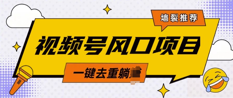 视频号风口蓝海项目，中老年人的流量密码，简单无脑，一键去重，轻松月入过W-小白网创