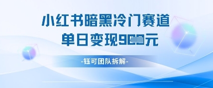 小红书冷门”暗黑”赛道，单日收益多张-小白网创