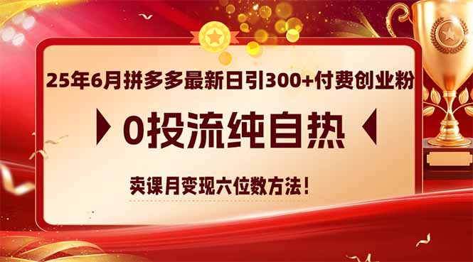 （14989期）25年6月拼多多最新日引300+付费创业粉，0投流纯自热 卖课月变现六位数方法-小白网创