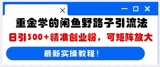 重金学的闲鱼野路子引流法，日引300+精准创业粉，可矩阵放大-小白网创