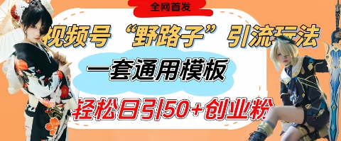 视频号“野路子”玩法，评论区疯狂截流，一套模板单日单号引流50+创业粉-小白网创