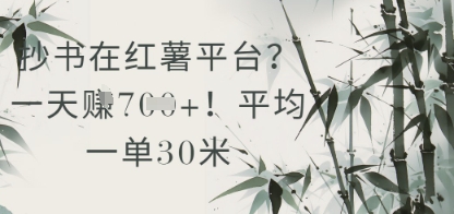 抄书在小红薯平台？平均一单30米，一天收益几张！-小白网创