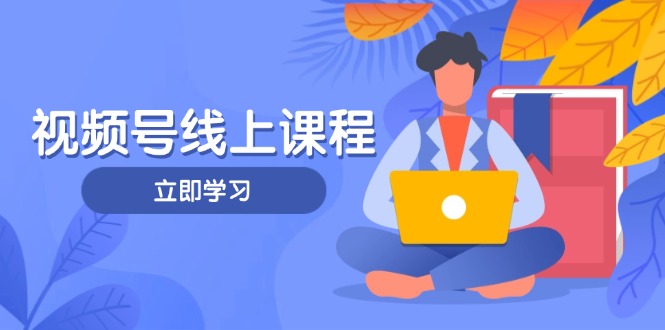 （14360期）视频号实战课程，轻IP打造与运营技巧，掌握核心方法与策略-小白网创
