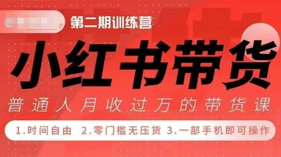 小Red书带货42天训练营 2.0版，宝妈+自由职+上班族+大学生，提高副业收入的大红利项目-小白网创