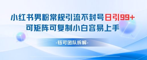 小红书男粉常规引流不封号日引99+变现简单 可矩阵可复制小白容易上手-小白网创