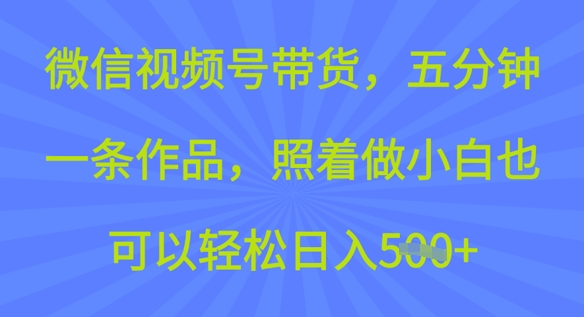 微信视频号带货，五分钟一条作品，照着做小白也可以轻松日入5张-小白网创