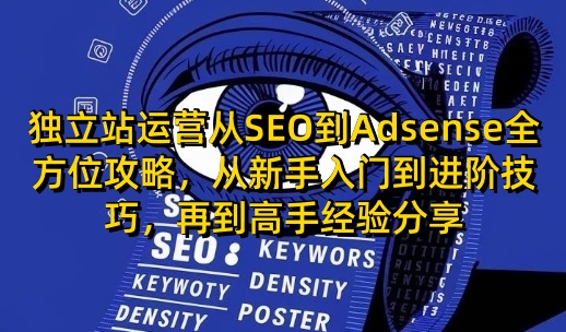 独立站运营从SEO到Adsense全方位攻略，从新手入门到进阶技巧，再到高手经验分享-小白网创