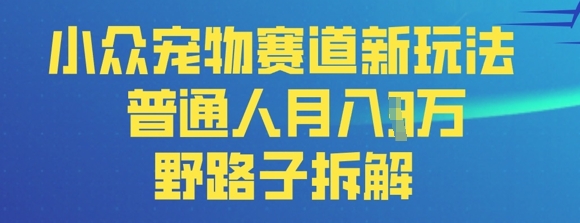 小众宠物赛道新玩法，普通人月入过1W的野路子拆解-小白网创