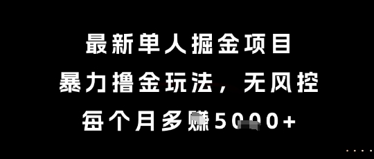 最新单人掘金项目，暴力撸金玩法，无风控，每个月多挣5k+【揭秘】-小白网创