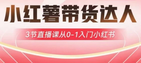 小红薯达人带货启航计划，3节直播课从0-1入门小红书-小白网创