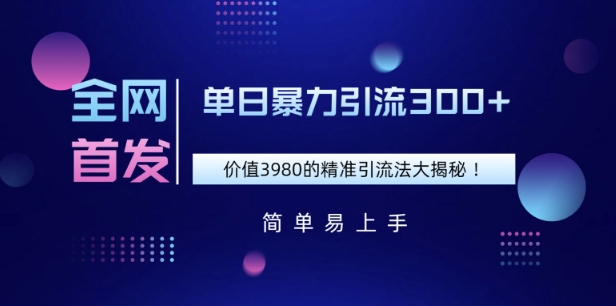 全网首发，价值3980单日暴力引流300+的精准引流法大揭秘-小白网创