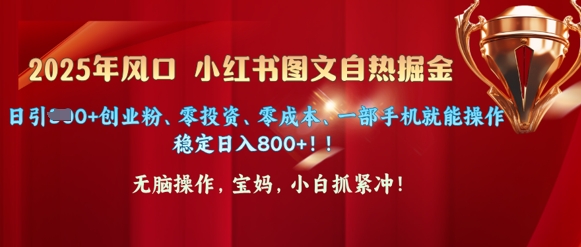 25年风口小红书图文掘金，日引300+创业粉、零投资、零成本、一部手机就能操作-小白网创