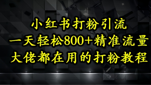 小红书打粉引流，一天轻松500+精准流量，大佬都在用的打粉教程-小白网创