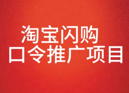 淘宝闪购口令推广项目，收益可观，一部手机，一个抖音号即可操作-小白网创