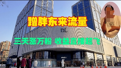 蹭胖东来流量，三天涨万粉，收益直接起飞-小白网创