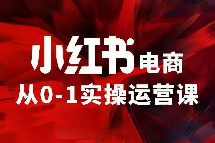 小红书电商运营，97节小红书vip内部课，带你实现小红书赚钱-小白网创