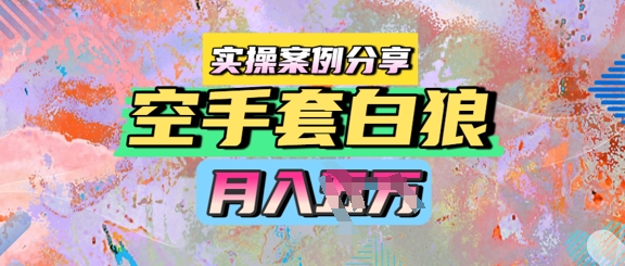 空手套白狼，月入过1W，实操案例分享-小白网创