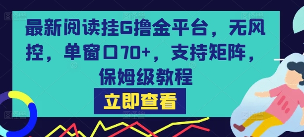 最新阅读挂G撸金平台，无风控，单窗口70+，支持矩阵，保姆级教程【揭秘】-小白网创