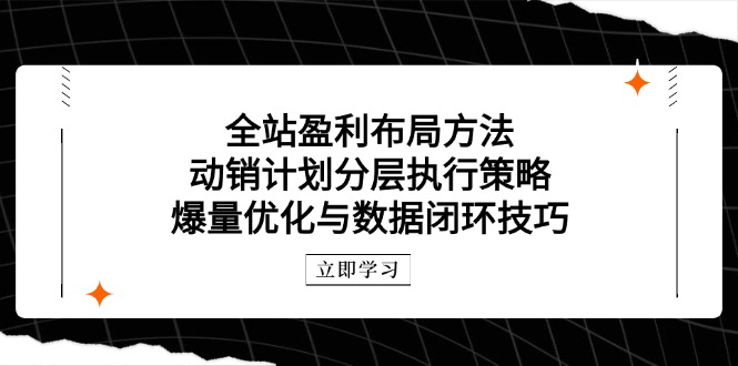 （14698期）全站盈利布局方法：动销计划分层执行策略，爆量优化与数据闭环技巧-小白网创
