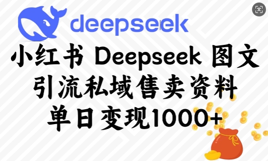 小红书Deepseek图文引流私域售卖资料，单日变现多张-小白网创