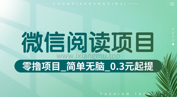 微信阅读项目_零撸项目+简单无脑+0.3元起提(六大平台合集汇总)-小白网创