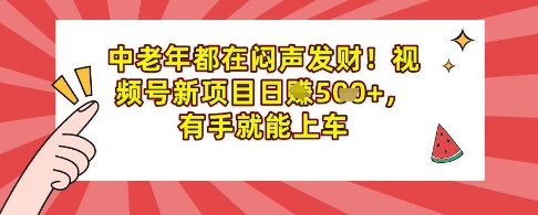 中老年都在闷声发财，视频号新项目日入多张，有手就能上车-小白网创