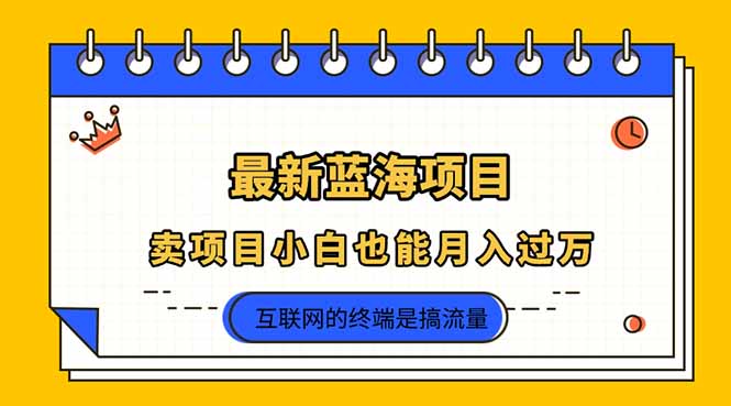 （14289期）2025年最新蓝海项目，卖项目小白也能月入过万-小白网创