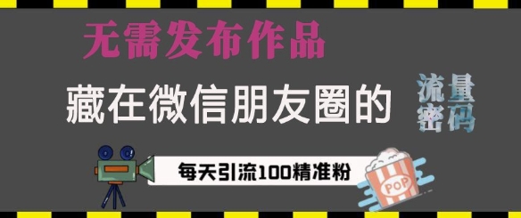 藏在微信朋友圈的流量密码，无需发布作品，单日引流100+精准创业粉【揭秘】-小白网创