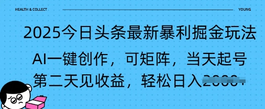 2025今日头条最新暴利掘金玩法，AI一键创作，可矩阵，当天起号，第二天见收益轻松日入多张-小白网创
