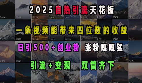 2025自热引流天花板，一条视频能带来四位数的收益，引流+变现双管齐下，日引500+创业粉，涨粉嘎嘎猛-小白网创