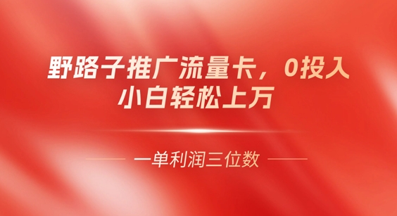 0门槛推广流量卡，一单收益上百，0投入，小白月入过W-小白网创