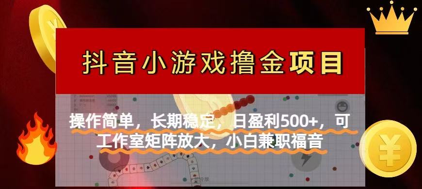 （14290期）【抖音小游戏发行人计划项目】操作简单，长期稳定，日盈利500+，可工作…-小白网创