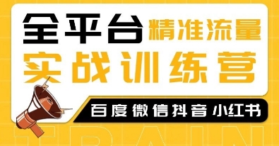 全平台精准流量实战训练营，百度微信抖音小红书SEO引流教程-小白网创