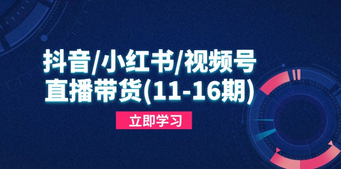 （14611期）抖音/小红书/视频号/直播带货(11-16期)，快速掌握平台规则，打造爆款内容-小白网创