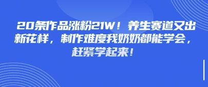20条作品涨粉21W！养生赛道又出新花样，制作难度我奶奶都能学会，赶紧学起来-小白网创