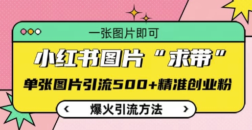 小红书图片‘求带’爆火引流法，单张图片引流500+精准创业粉【揭秘】-小白网创
